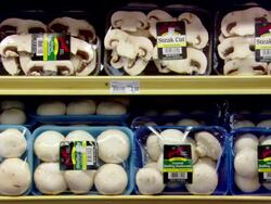 CU Shot of packaged vegetables and mushrooms on supermarket shelves / Mall of America Minneapolis, Minnesota, United States Stock Footage