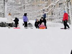 Children Sledding winter storm Central Park Stock Footage