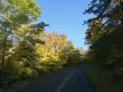 POV Driving along a country road lined with bright yellow foliage at Acadia National Park / Mount Desert Island, Maine, United States Stock Footage