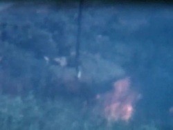 Burning Field Crops 1950's Hawaii Stock Footage