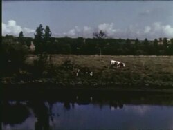 A barge trip on the Seine River from La Havre to Paris Stock Footage