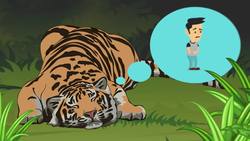 Should You Eat Everyday? Instructional Video