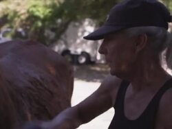 Horse grooming area, close-up, Karen brushes horse Stock Footage