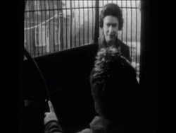 SYND 20/06/69 PREVIEW OF DOCUMENTARY ABOUT THE ROYAL FAMILY News Clip