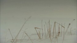 Wind blows across the frozen Alaskan tundra. Stock Footage