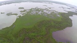 Florida Everglades Aerials, South Florida Swampland, Key Largo Stock Footage