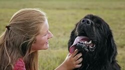 SLO MO LD Woman petting her dog on neck Stock Footage