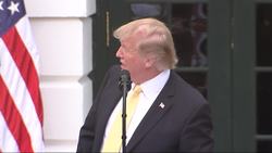 Trump welcomes NASCAR champ to White House Instructional Video