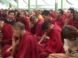 MS Monks paying close attention to someone speaking AUDIO / Dharamsala, Himachal Pradesh, India Stock Footage