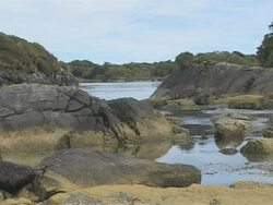 Algae covered rocks and rockpools, Chile Stock Footage