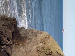 HD Oregon coast with TIllamook lighthouse - vertical video Stock Footage