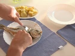 HD: Eating Fish Stock Footage