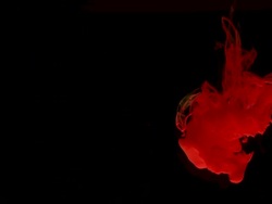MS SLO MO Red ink falling into aquarium / Sao Paulo, Brazil / Sao Paulo, Brazil Stock Footage