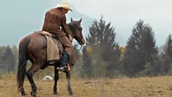 SLO MO DS Rancher stroking horse on neck Stock Footage