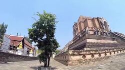 Thai Temple Wat Chedi Luang Stock Footage