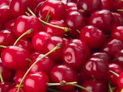 CHERRIES Stock Footage