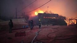 CLEAN : Bushfires still blazing near Jerusalem (2) News Clip