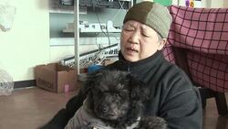 CLEAN: No room at the refuge centre for tsunami-surviving pets News Clip