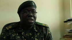 CLEAN : Over fifty west Africans caught up News Clip