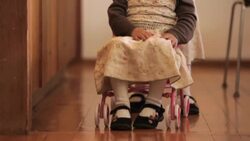 One twin pushes her sister in a stroller. Stock Footage