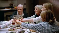 Making a toast at dinner Stock Footage