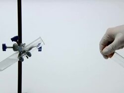 Test for hydrogen gas. A lit splint is held to the gas, igniting it with a characteristic squeaky pop. The gas was produced by the reaction of magnesium with hydrochloric acid, in the test tube at left Stock Footage