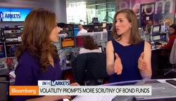 Volatility Prompts More Scrutiny of Bond Funds News Clip