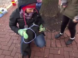 Animal charity gives second chance to rescue dogs News Clip