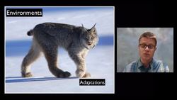 LS2C - Ecosystem Dynamics, Functioning and Resilience Instructional Video