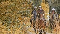 SLO MO TU Cowboys riding galloping horses on country road Stock Footage