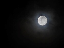 Full Moon Stock Footage