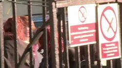 CLEAN: Football:Muamba showing 'small signs of imp News Clip