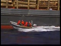 SOUTH AFRICA: PENGUINS RESCUED FROM OIL POLLUTION 2 News Clip