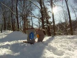 A young man snowboarding through trees and jumping over a playhouse. - Model Released - HD Stock Footage