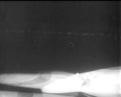 WINTER SPORTS News Clip