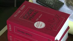 CLEAN : Human rights group wants prison sentence News Clip