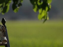 Bride shoes - Stock Footage Stock Footage