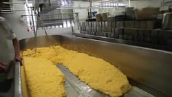 America Faces Surplus Of Cheese With Record Dairy Production Stock Footage