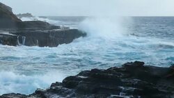Ocean Waves Hawaii Shoreline Scenic Stock Footage