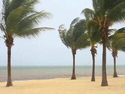 Tropical Storm approaching Stock Footage