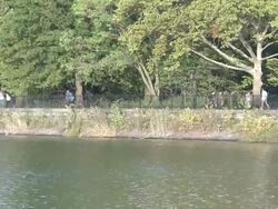 MS People running on path of Jacqueline Onassis reservoir in Central Park / New York, New York, United States Stock Footage