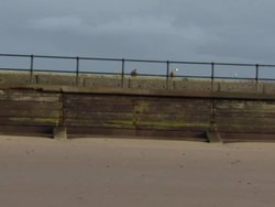 Antony Gormley's Another Place Art work on Crosby Beach News Clip