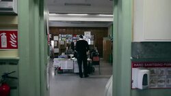 VOICED : Irlanda suprime su Senado News Clip