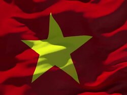 Vietnam Flag Stock Footage
