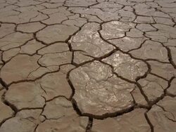  CU Cracks on arid desert / Mojave, California, USA Stock Footage