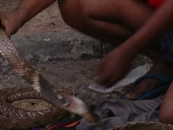 CU ZO Snake charmer / Colombo, East Sri Lanka, Sri Lanka  Stock Footage