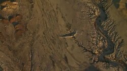 The dry creekbed of Well Creek branches out into an arid landscape in Big Bend country, view from directly above. Stock Footage