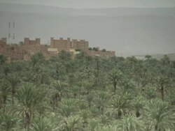 A castle like building sits on a hill, with a canopy of palm trees in the foreground. Stock Footage
