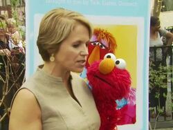 Katie Couric, puppet Elmo and its puppeteer Kevin Clash at the Katie Couric and Sesame Street Muppets - When Families Grieve at New York NY. (Footage by WireImage Video/GettyImages) Stock Footage