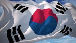 Flag of South Korea Stock Footage